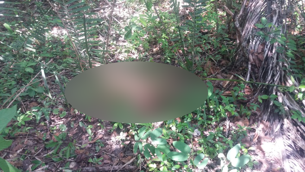 O corpo de Deise Beatriz de Arruda, de 41 anos, foi encontrado em uma região de mata — Foto: PM/Divulgação