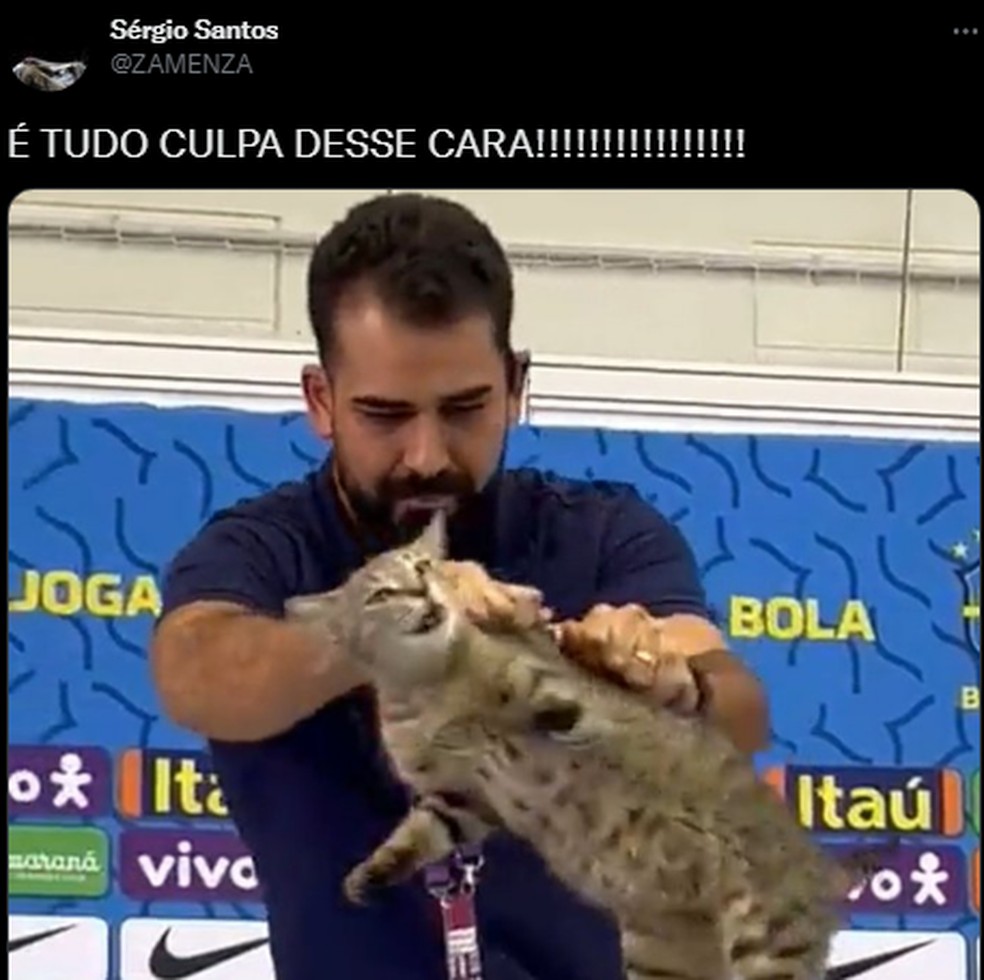Internautas relacionam derrota do Brasil com azar causado pelo gato. — Foto: Reprodução