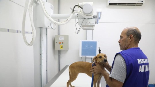 Rio vai ganhar mais um hospital veterinário, em Irajá