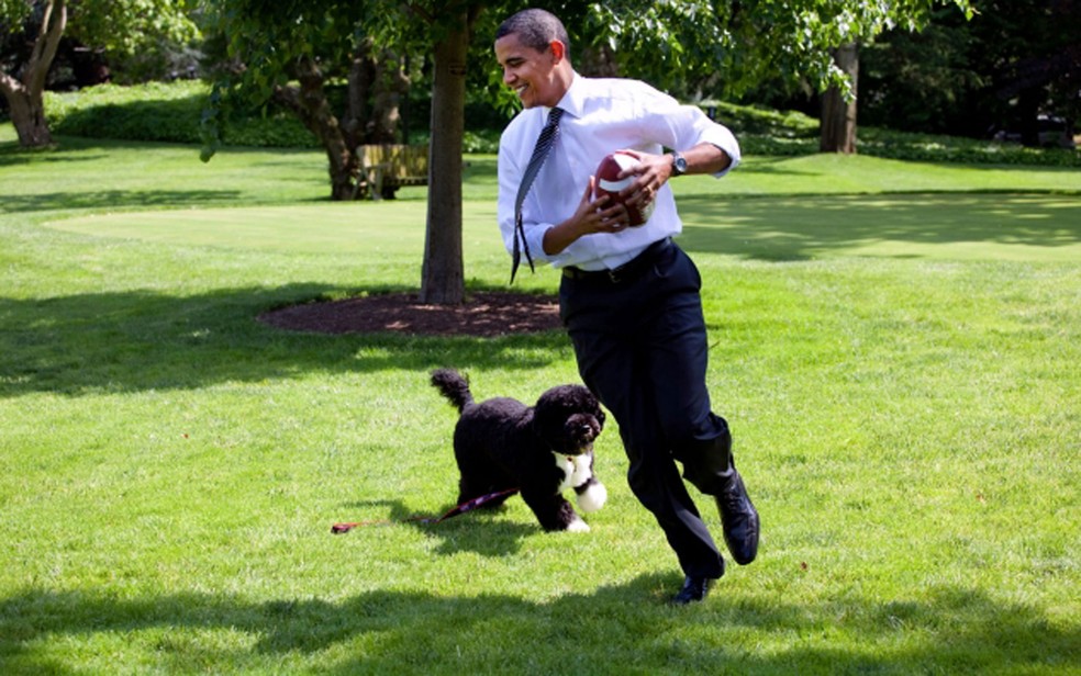 Bo brinca com o presidente dos EUA, Barack Obama, no gramado da Casa Branca em foto de 12 de maio de 2009 — Foto: White House/Pete Souza/Arquivo