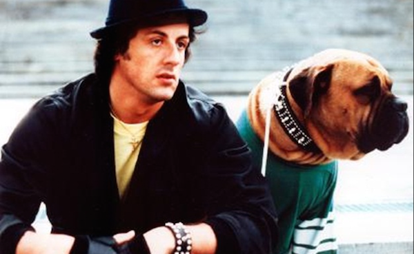 Sylvester Stallone e seu cachorro em cena de 'Rocky' (Foto: Reprodução)
