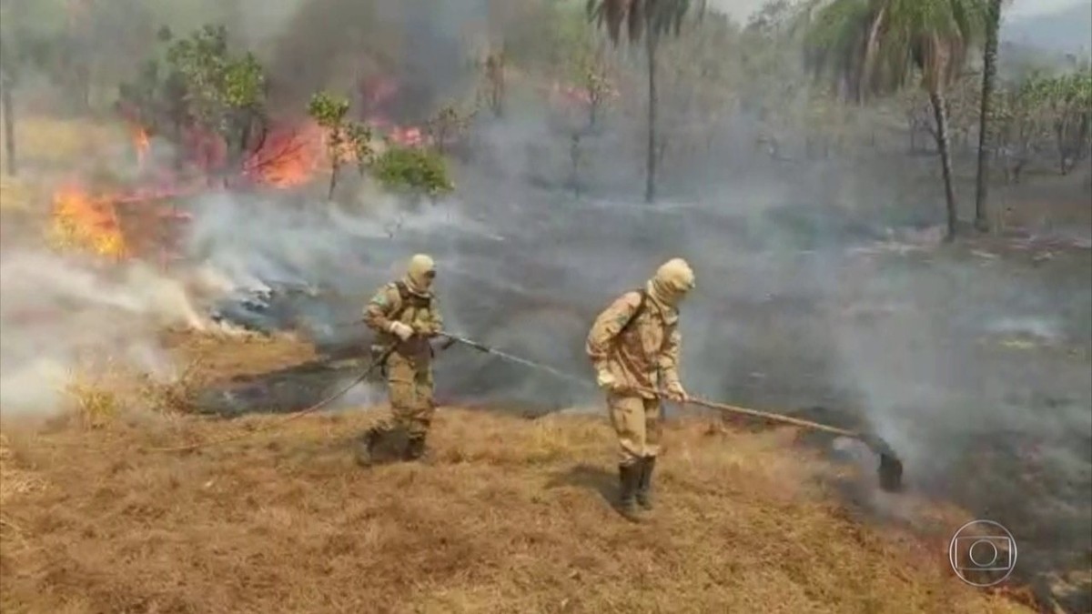 Incêndios no Pantanal: governo federal reconhece situação de emergência em MS thumbnail