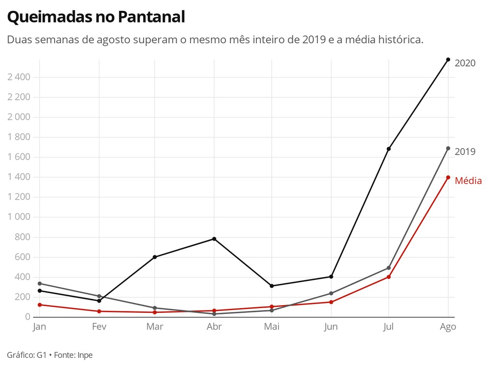 Queimadas no Pantanal em 2019 e 2020; agosto supera a média história — Foto: Carolina Dantas/G1