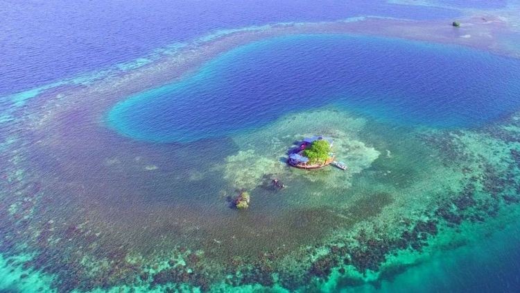 Bird Island, o 'pedaço do paraíso'