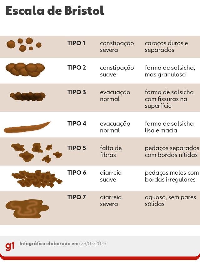Saudoe: Voc\u00ea olhou para o seu coc\u00f4 hoje? Saiba o que as fezes podem ...