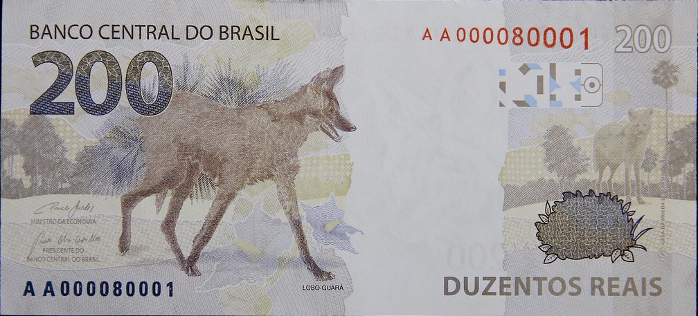 Verso da nova nota de R$ 200 com a imagem do lobo-guará no verso — Foto: Raphael Ribeiro/BC