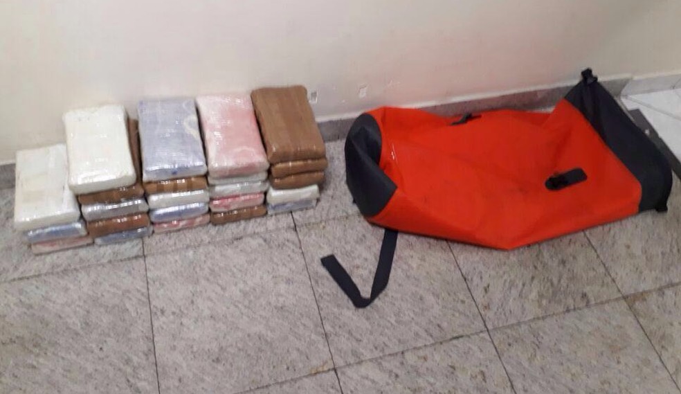 Bolsas com tabletes de cocaína foram apreendidas após ser abandonada por mergulhador (Foto: G1 Santos)