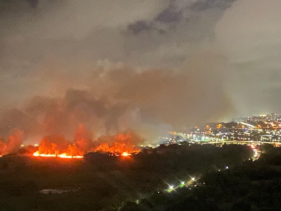 Incêndio atingiu área de mata no Parque do Cocó, em Fortaleza — Foto: Arquivo pessoal