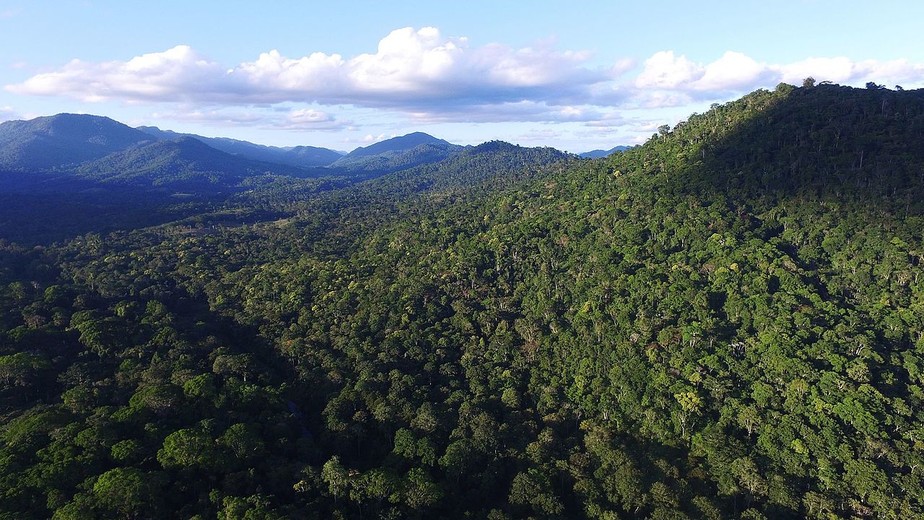 Vista aérea da vegetação na RPPN Serra Bonita em Camacan, na Bahia