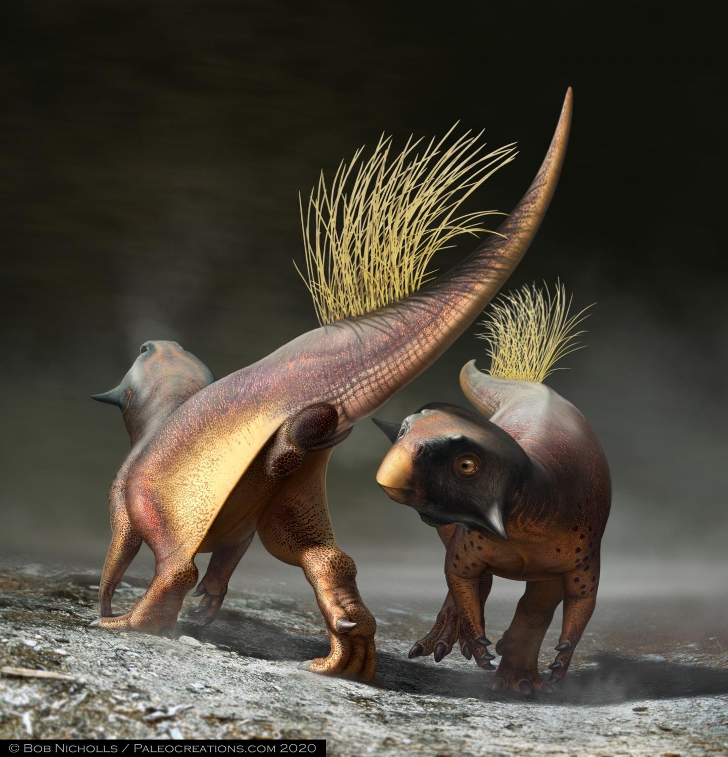 Cientistas estudam orifício de dinossauros pela primeira vez (Foto: Bob Nicholls)