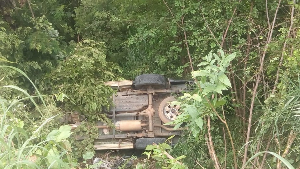 Caminhonete derrapou na BR-316, na saída Sul de Teresina, e capotou ao sair da rodovia — Foto: Reprodução