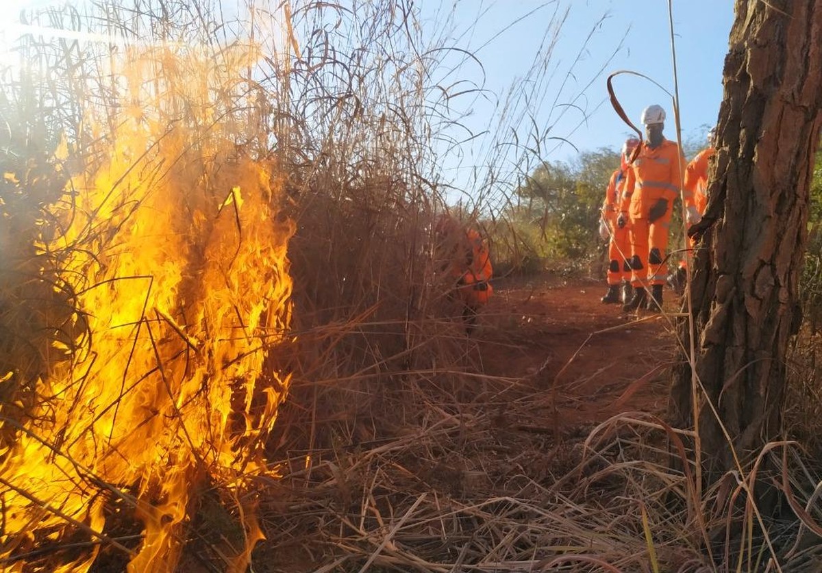 Incêndio consome vegetação na área rural de Montes Claros