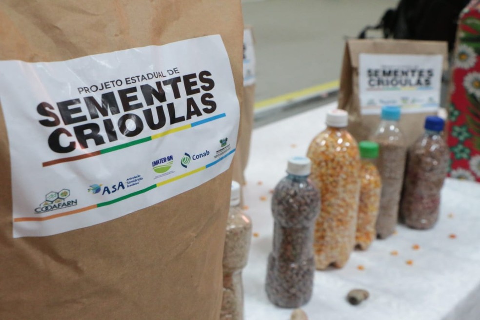 Governo vai distribuir 253,4 toneladas de sementes aos agricultores familiares cadastrados no Programa Bancos de Sementes 2020 — Foto: Demis Roussos/Assecom Governo do RN/Divulgação