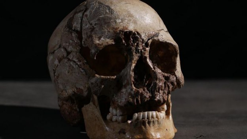Embora os esqueletos em exposição nos museus possam dar a impressão contrária, os ossos sob a nossa pele estão muito vivos — Foto: BBC