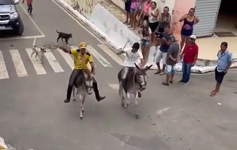 Prefeitura no Ceará bane 'corrida de jumentos' e pede desculpas pelo evento 