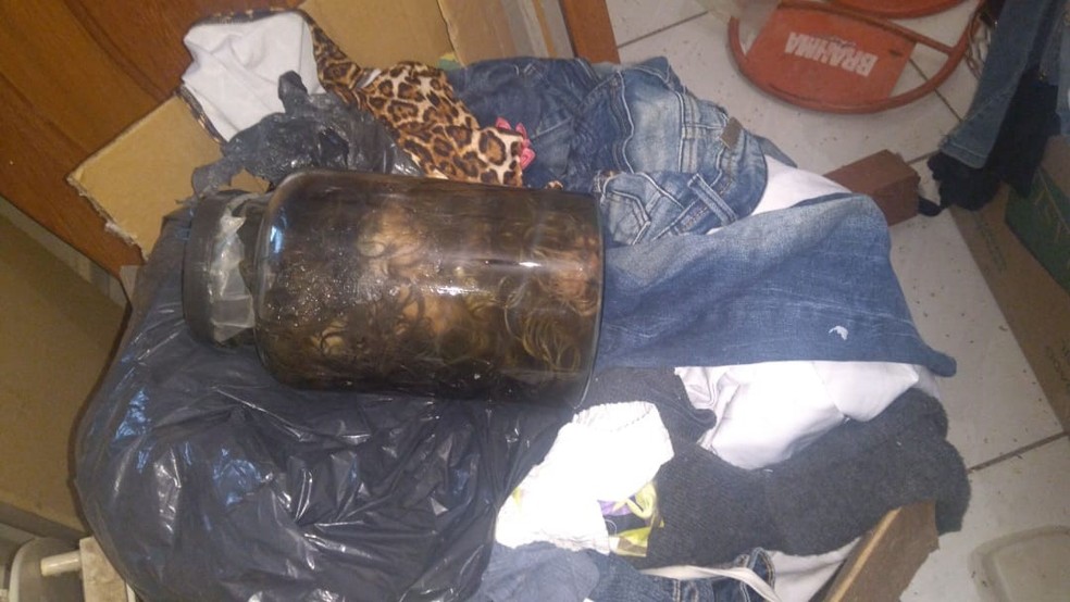 Pote com cachorro dentro foi encontrado em casa em Uchoa (SP) (Foto: Arquivo Pessoal)