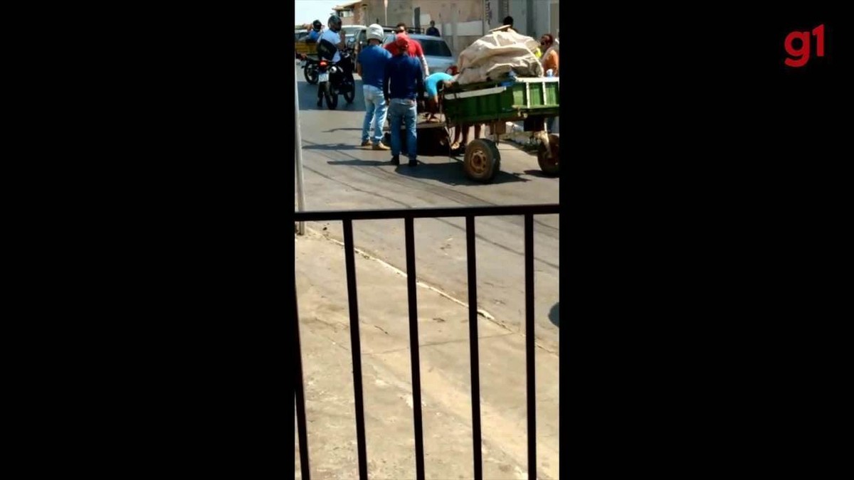 VÍDEO: Moradores socorrem cavalo que caiu no chão por não suportar o peso da carroça em MG