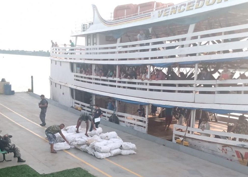 Carga de pescado apreendida no Rio Solimões. — Foto: Divulgação