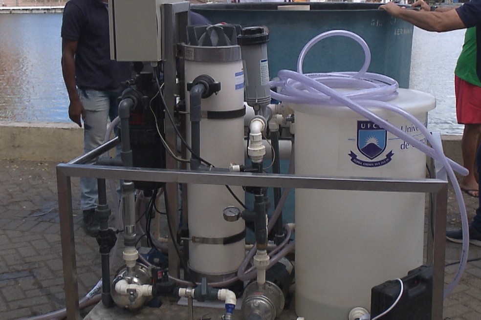 Pesquisadores da UFCG desenvolvem dessalinizador para tratar água de açudes poluídos — Foto: TV Paraíba/Reprodução