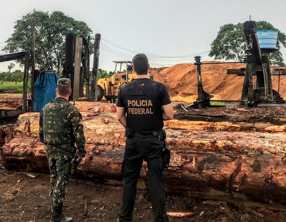 Operação Ybyrá — Foto: Polícia Federal de Mato Grosso/Assessoria