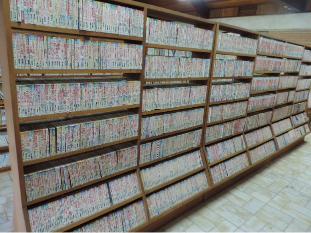 Prateleira é lotada de mangás: no local são 51 mil livros do gênero (Foto: Caio Gomes Silveira/ G1)