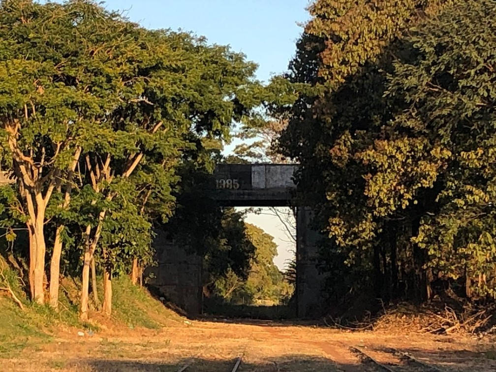 Ferrovia representou desenvolvimento para a região de Presidente Prudente — Foto: Luís Augusto Pires Batista/TV Fronteira