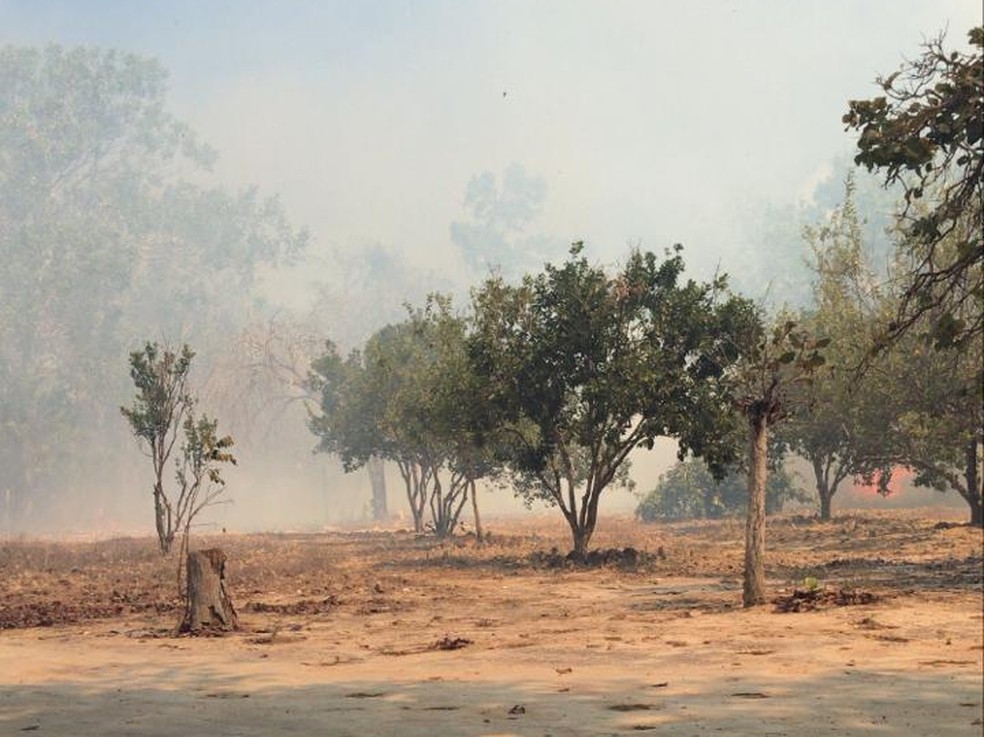 Queimada atingiu propriedades rurais em Alvorada  — Foto: Thainara Pimentel/Divulgação