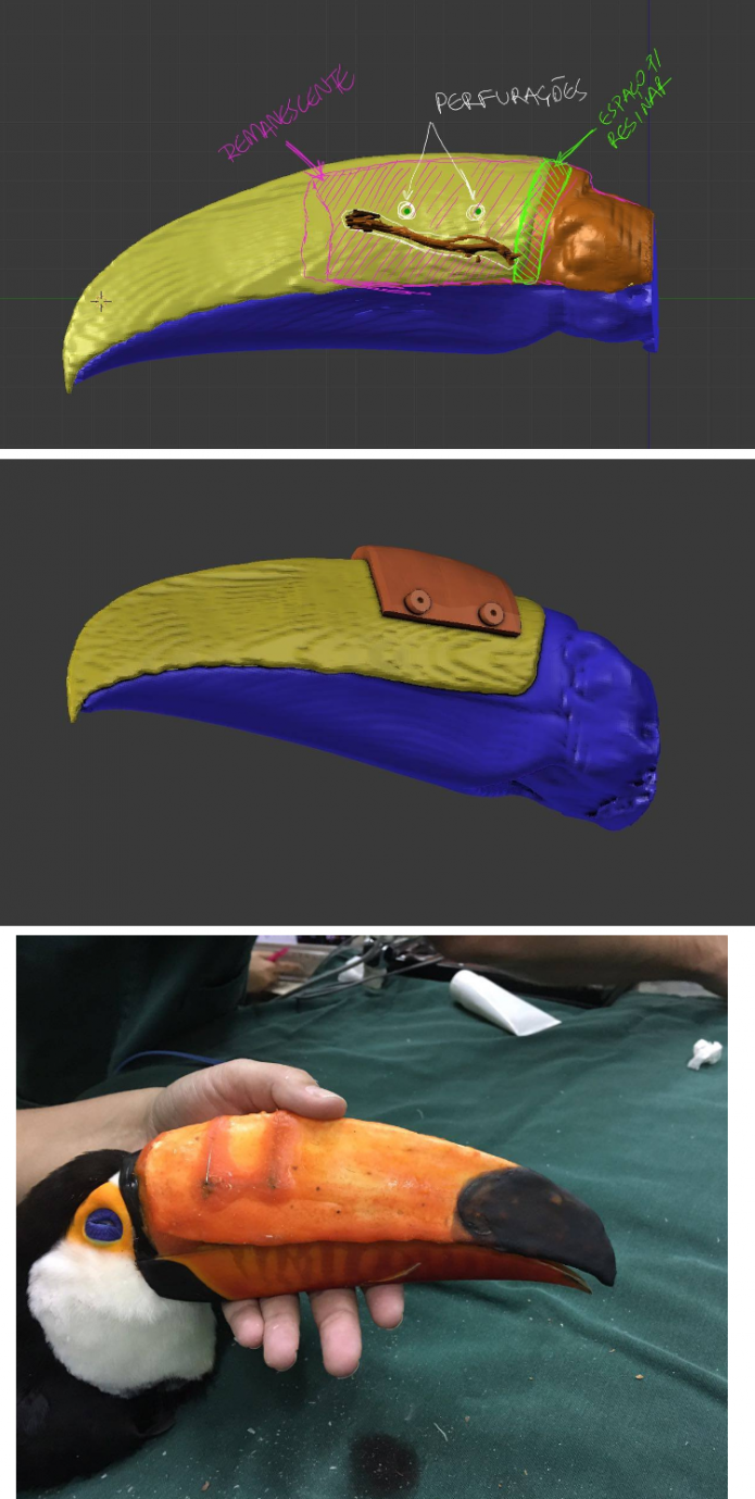 Utilização de modelagem 3D no bico de um tucano (Foto: Reprodução/Cícero Moraes)