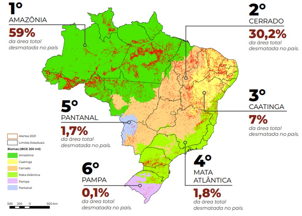 Aumento do desmatamento nos biomas do Brasil — Foto: Reprodução/Relatório Anual do Desmatamento no Brasil (RAD)