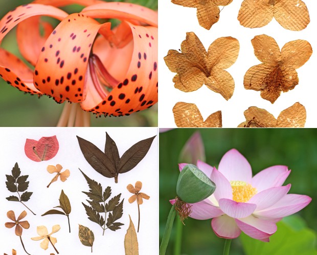 Artificiais, naturais ou secas: aprenda a usar as flores em objetos  decorativos - notícias em Artesanato - Mais Você