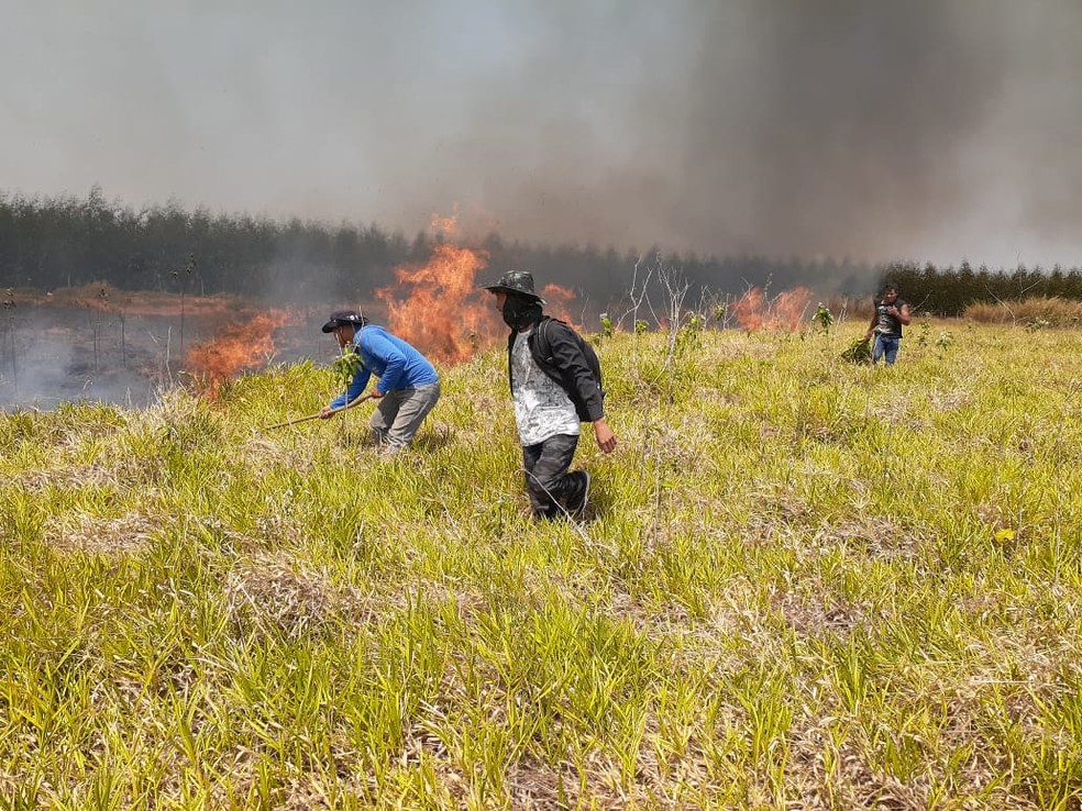 Indígenas tentaram controlar as chamas antes de acionarem os bombeiros em Avaí  — Foto: Tiago Nhandewa/Arquivo pessoal