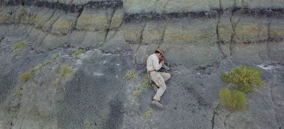 DePalma, da Universidade do Kansas, diz que local da escavação oferece incrível visão do que aconteceu após a queda do asteroide — Foto: Robert DePalma/BBC