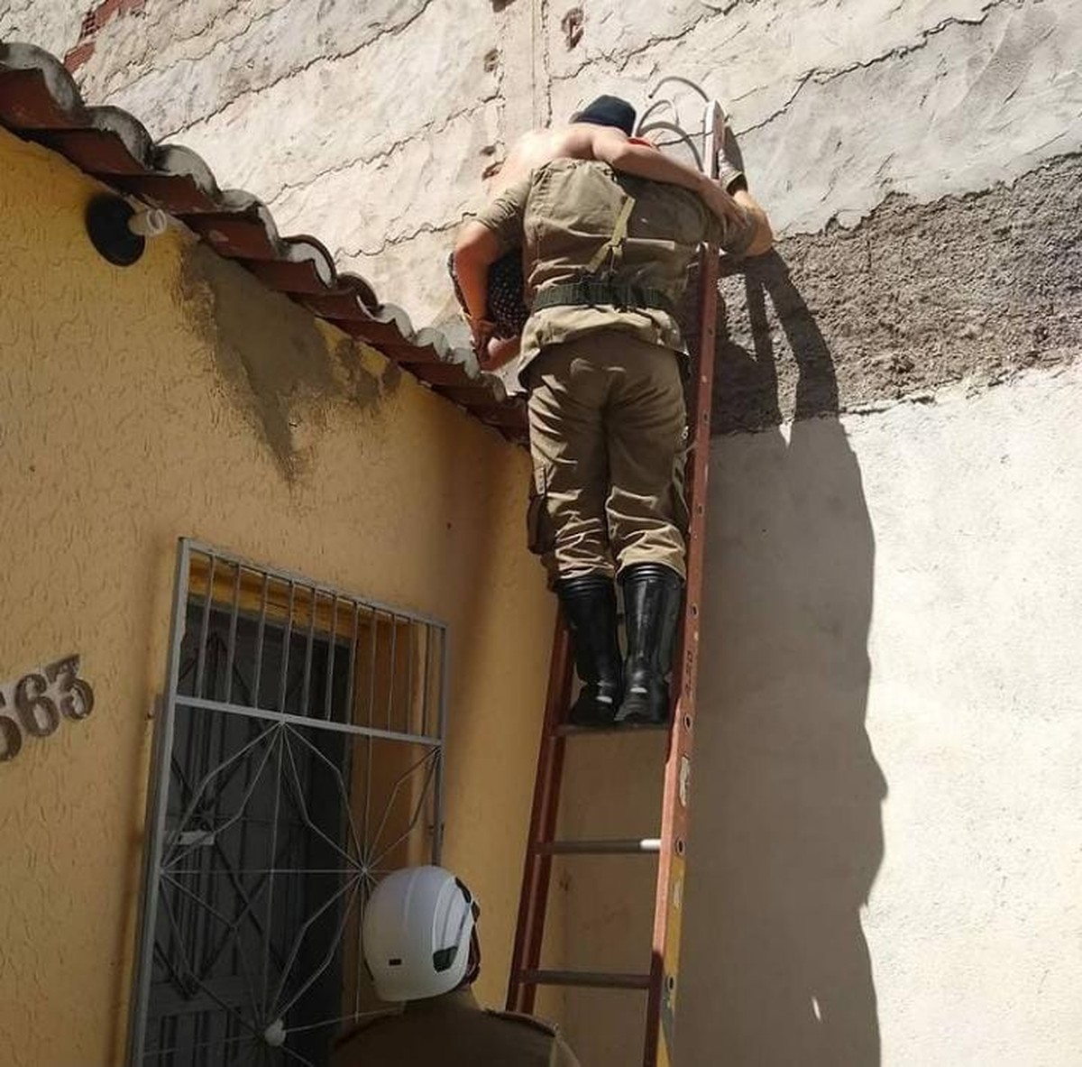 Jovem sobe em telhado para resgatar gato, mas precisa de ajuda dos bombeiros para descer, no Ceará - Vimarsana News
