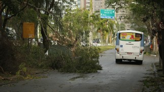 Galhos de árvores caem e obstruem parte da pista da Estrada da Gávea, no trecho próximo ao Gávea Golf Club, em São Conrado — Foto: Fabiano Rocha / Agência O Globo