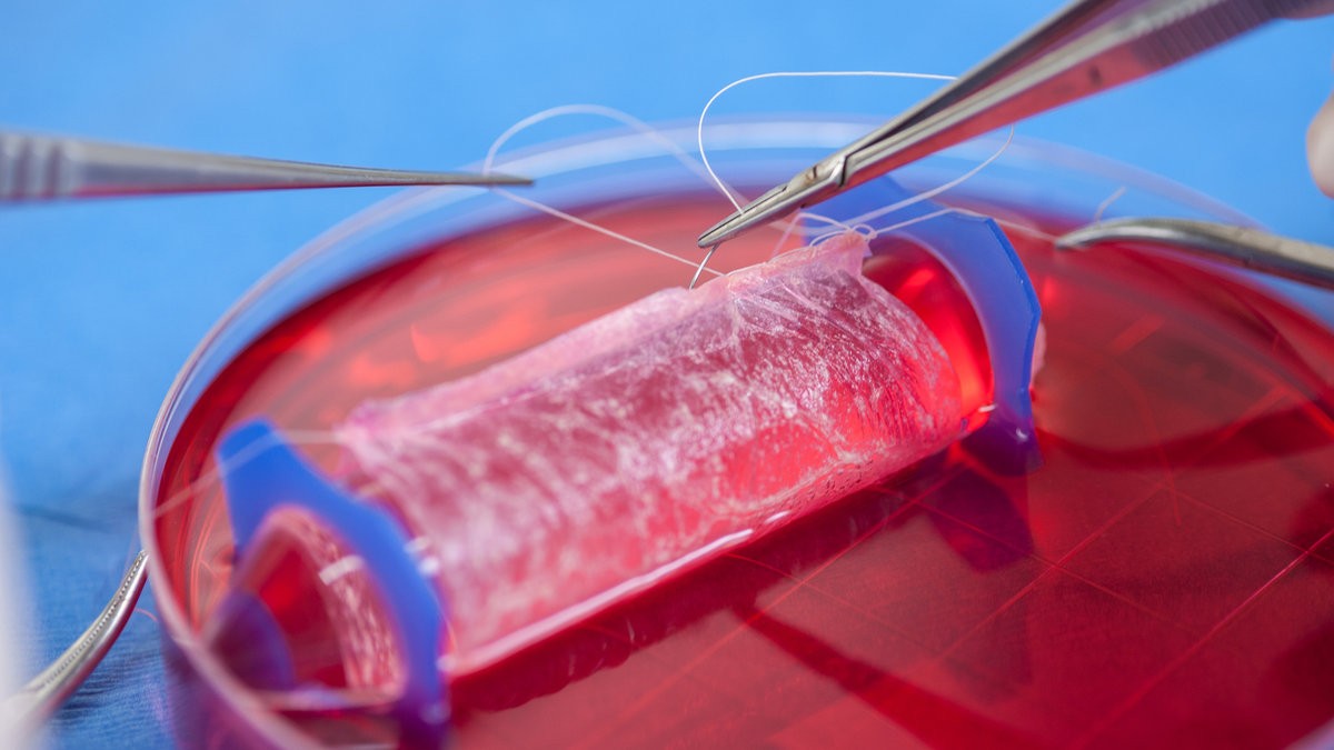 Cientistas criam o órgão em laboratório, empilhando células (Foto: Wake Forest Institute for Regenerative Medicine)