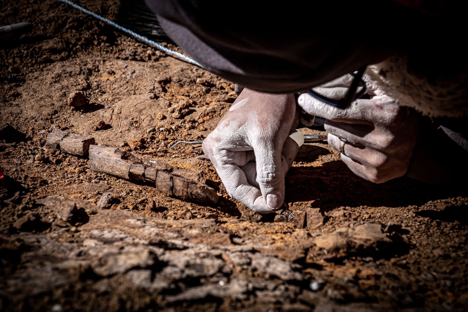 Eles conseguiram constatar que pertenciam a dinossauros que não haviam sido identificados antes no local — Foto: INACH / AFP