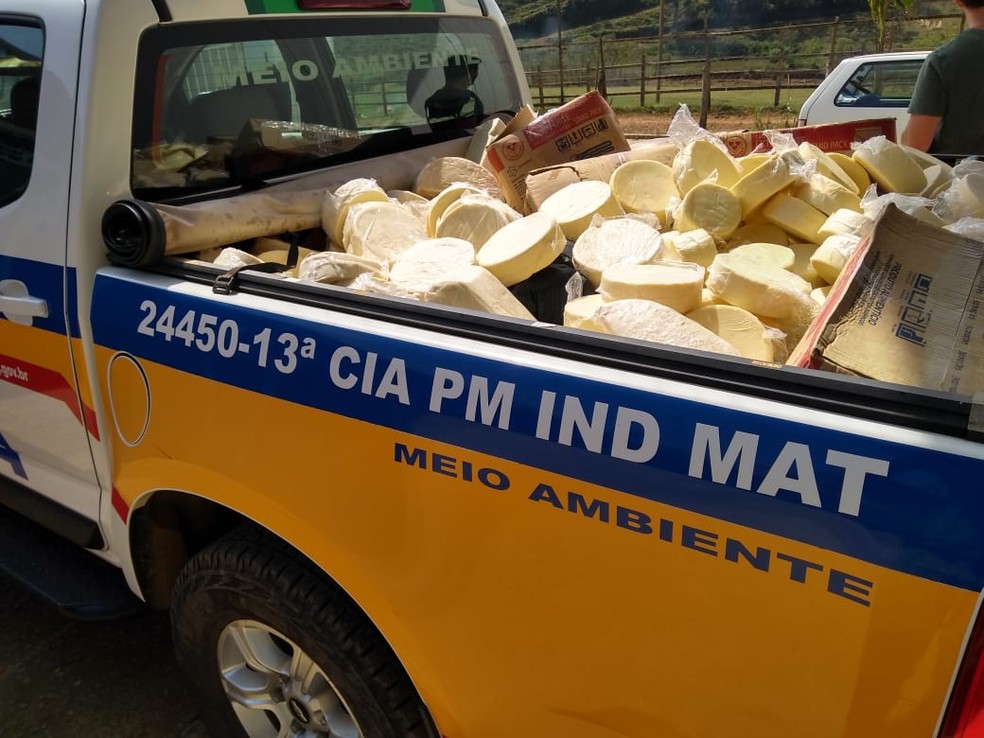 Parte da carga foi levada pela Polícia Militar do Meio Ambiente (Foto: Polícia Militar/Divulgação)
