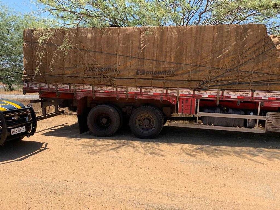 Caminhão carregado de cenoura — Foto: Polícia Rodoviária Federal/Divulgação