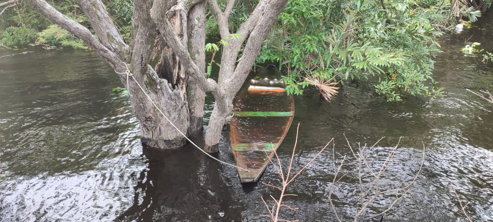 Canoa do casal foi encontrada presa em árvore com peixes podres. — Foto: Divulgação