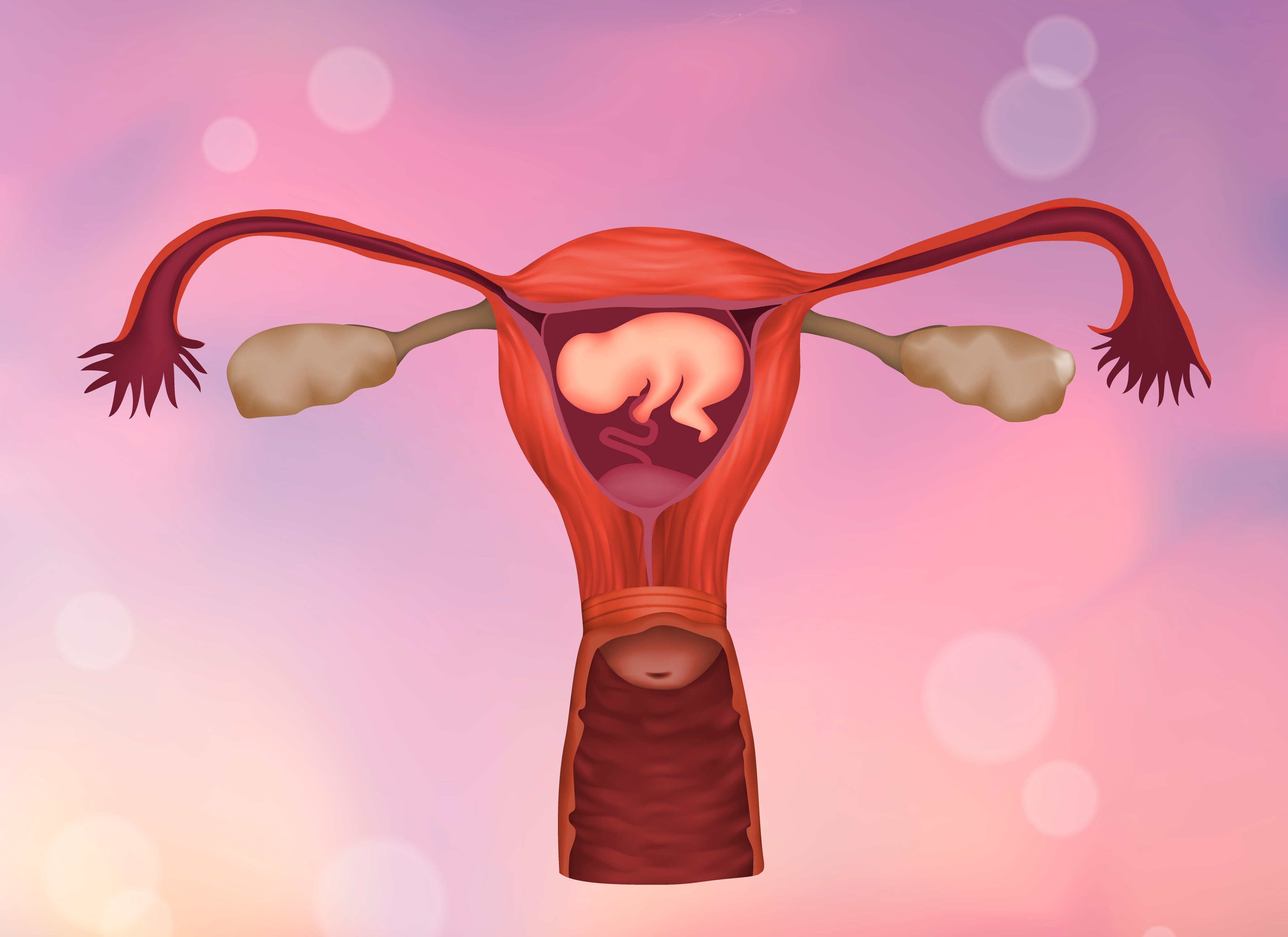 Placenta prévia (Foto: Veronica Zakharova / Getty Images)