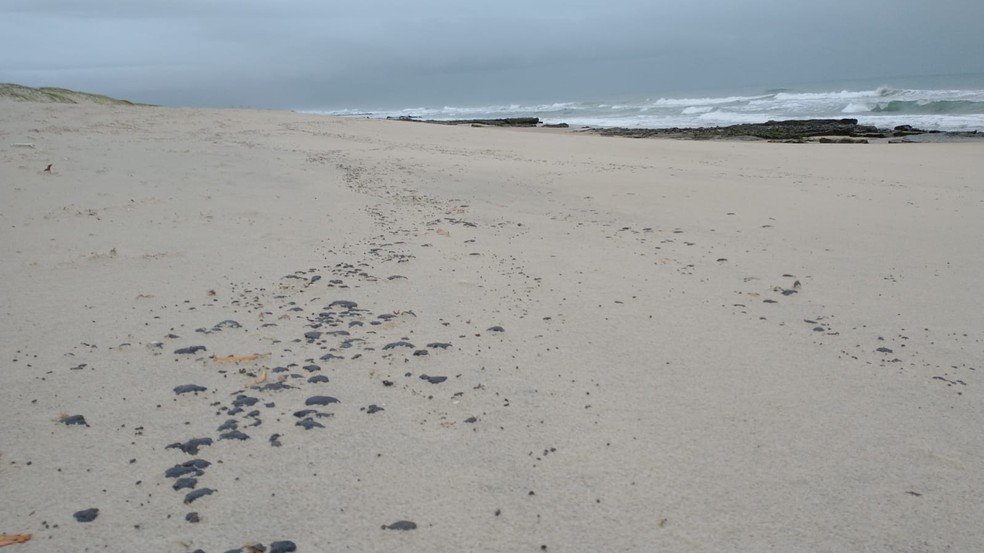 Registro de manchas de óleo na praia da Sabiaguaba, em Fortaleza. — Foto: Arquivo pessoal