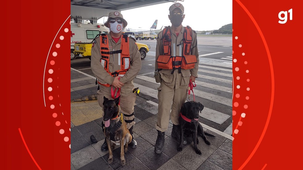 Bombeiros e cães farejadores da Paraíba foram enviados para ajudar na busca de vítimas das chuvas em Petrópolis — Foto: Divulgação/Corpo de Bombeiros da Paraíba