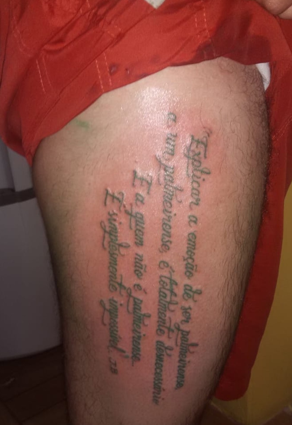 0 23 palmeiras nao tem mundial tatuagem No Acre Torcedor Do Palmeiras Fa Do Futebol Argentino Tatua Homenagem Ao River Plate Ac Ge