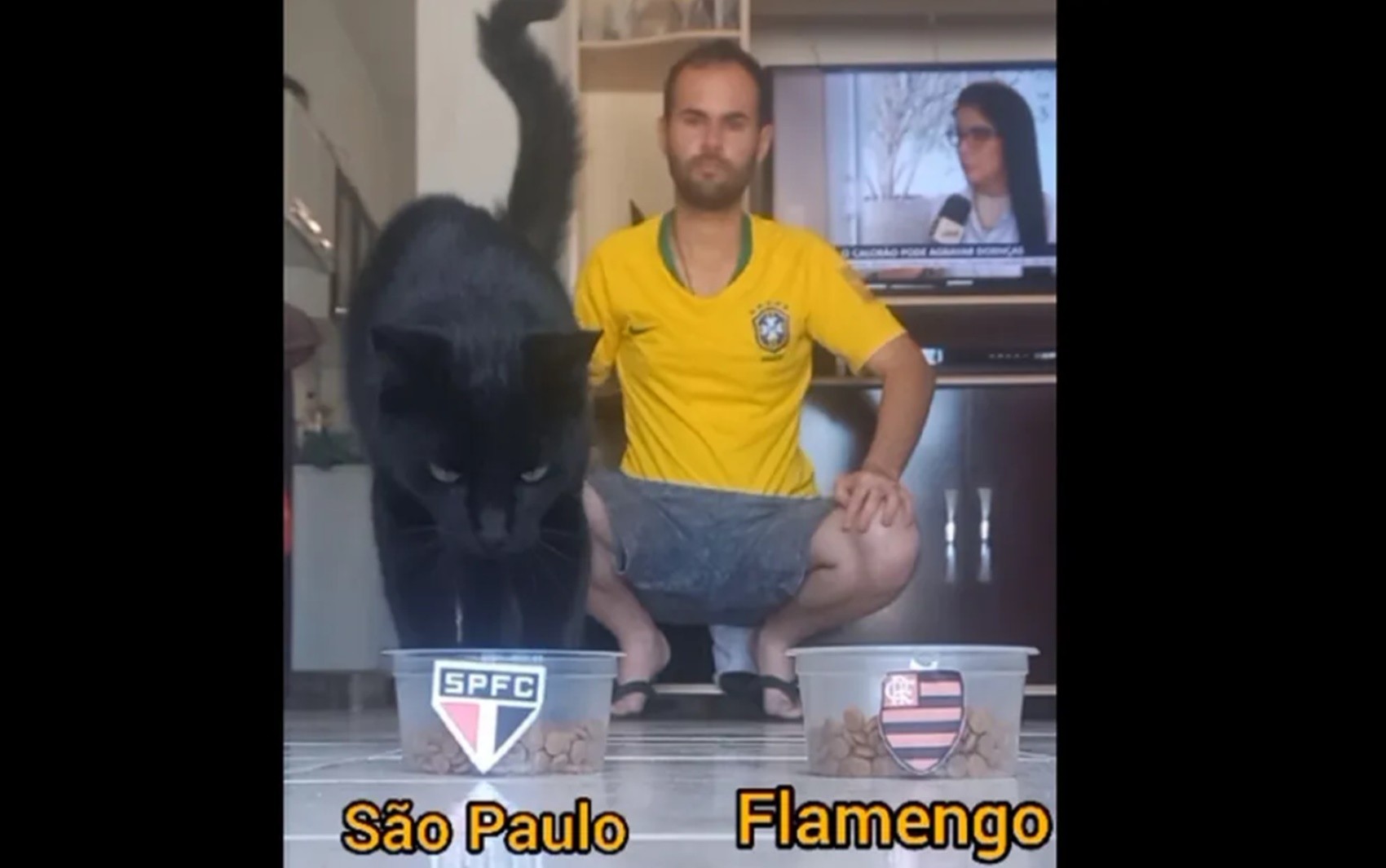 Conheça o ‘gato vidente’ que cravou São Paulo campeão e já acertou repescagem dupla do BBB