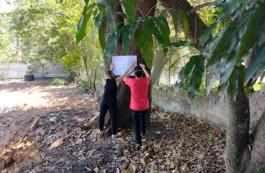 Professores do Ciep Ruy Frazão penduram cartaz contra a derrubada das árvores
