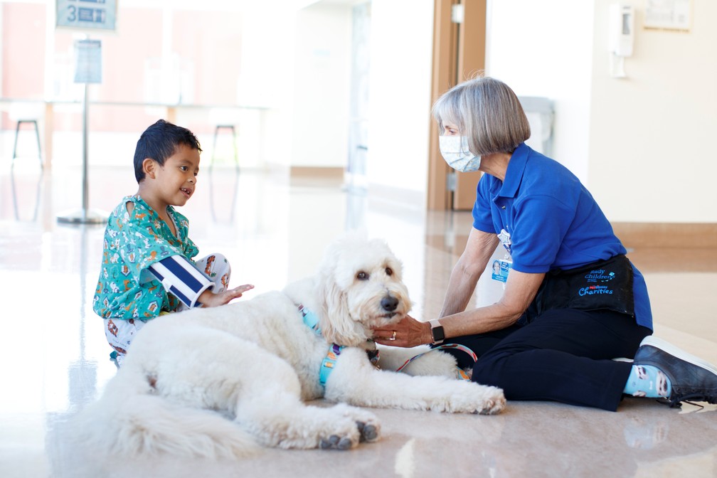 O programa de terapia canina voltou ao hospital infantil de San Diego, na Califórnia — Foto: REUTERS/Mike Blake