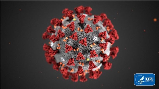 Cientistas disseram à BBC que estão perto de anunciar nome para novo coronavírus (Foto: SMITH COLLECTION/GADO, via BBC News Brasil)