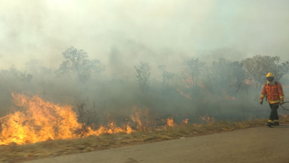 Fogo atinge mata próxima à reserva da Embrapa Cerrados, no Distrito Federal (Foto: Rafaela Céo/TV Globo)