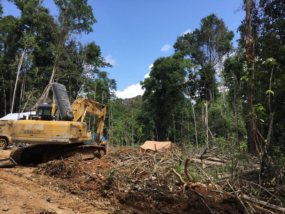 área explorada pelo garimpo chega a 224 hectares (Foto: Reprodução/Ministério do Trabalho)