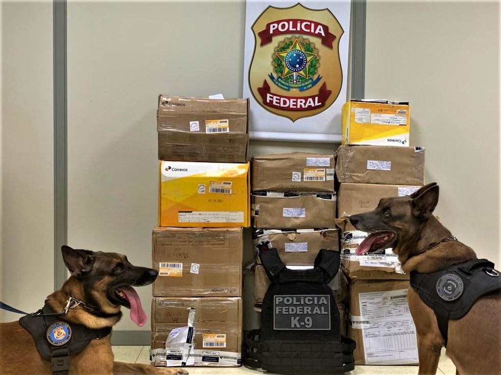 Droga era enviada via postal escondida dentro de mercadorias — Foto: Arquivo: Polícia Federal